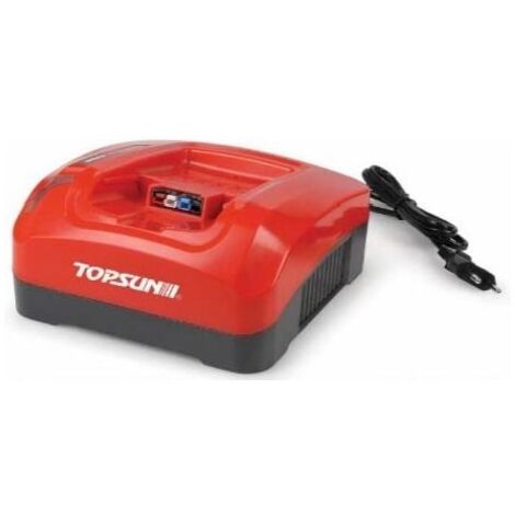Chargeur de batterie 36V TOPSUN