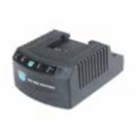 Chargeur de batterie BLUE BIRD pour tondeuses à gazon temps de charge 3 à 5 heures