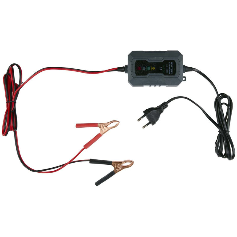 Dunlop - Chargeur De Batterie De Voiture 6/12v