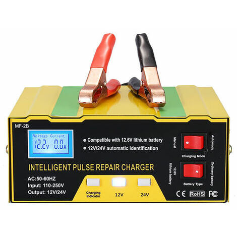 Chargeur de batterie de voiture 12V24V