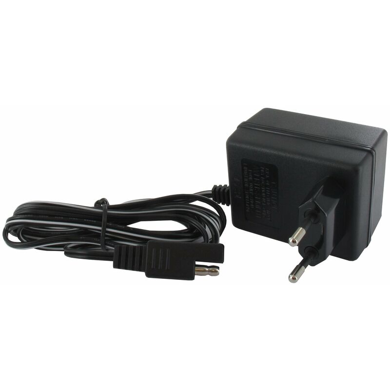 Chargeur de batterie GGP - CASTELGARDEN 118204120/1LC