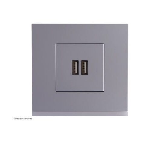 Chargeur double USB type A+A Gallery Complet Titane