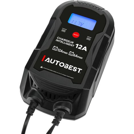 Chargeur et maintien de charge automatique intelligent 12V-12A/24V-6A