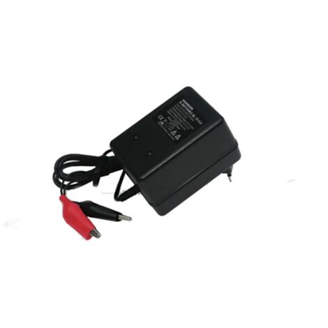 LinkePow Chargeur de Voiture électrique pour Enfants 12V, Chargeur de  Batterie 12 Volts pour Véhicule Electrique : : Sports et Loisirs