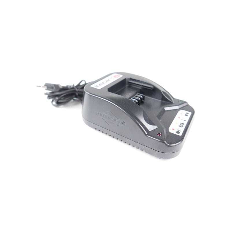 Briggs&stratton - Chargeur InStart tondeuse moteur Briggs et Stratton - 593562