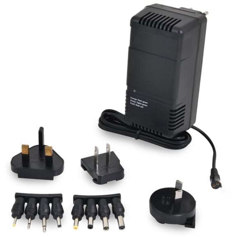 Ansmann - Chargeur NiCd/NiMH ACS310 3 à 10 cellules/800 mA 110-230V