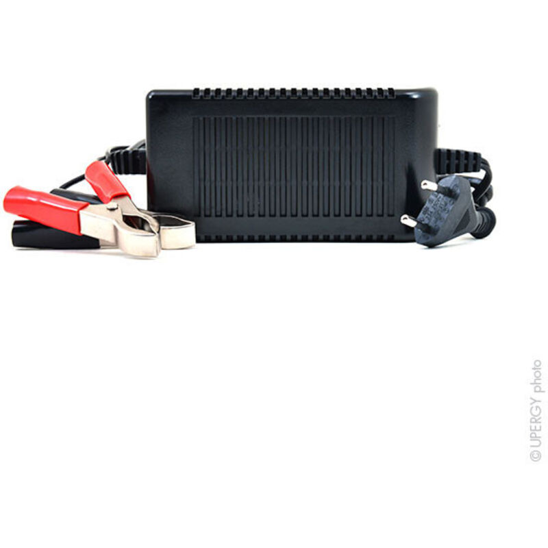 NX Chargeur plomb 6V/4A 110-230V - pinces crocodiles (Intelligent) - 