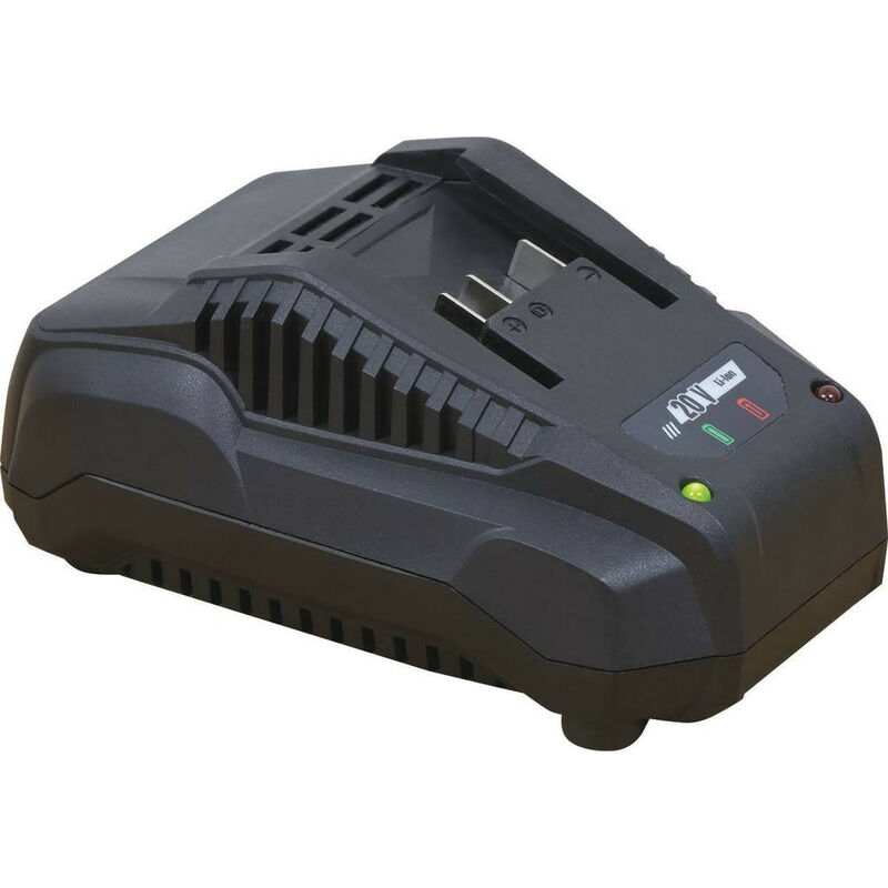 Schneider - Chargeur pour batterie 35 Ah 50519