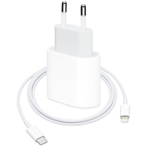 Chargeur Rapide 20W PD pour iPhone 11/12/13/14 avec Câble de Données
