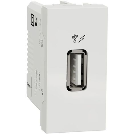Chargeur simple USB 1A 2 modules polaire SCHNEIDER NU342818