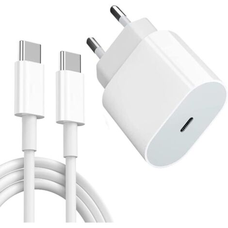 Chargeur USB-C 20 W pour iPad Pro avec câble Type-C de 2 m. Compatible avec iPad Pro 12,9/11 pouces, Air 5e/4e, Mini 6, Galaxy S21, S20, S10, etc. Adaptateur secteur USB-C pour tablettes Android.