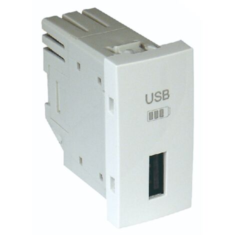 Chargeur USB type A - 1 module pour goulotte - Couleur matériel - Blanc