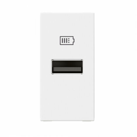 Chargeur USB Type-A Mosaic 1 module blanc pour support LCM LEGRAND 077650L