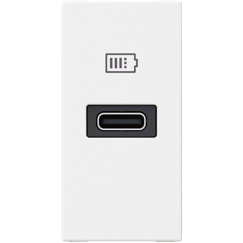 Legrand - Chargeur usb Type-C Power Delivery Mosaic 1 module blanc pour support lcm 077690L