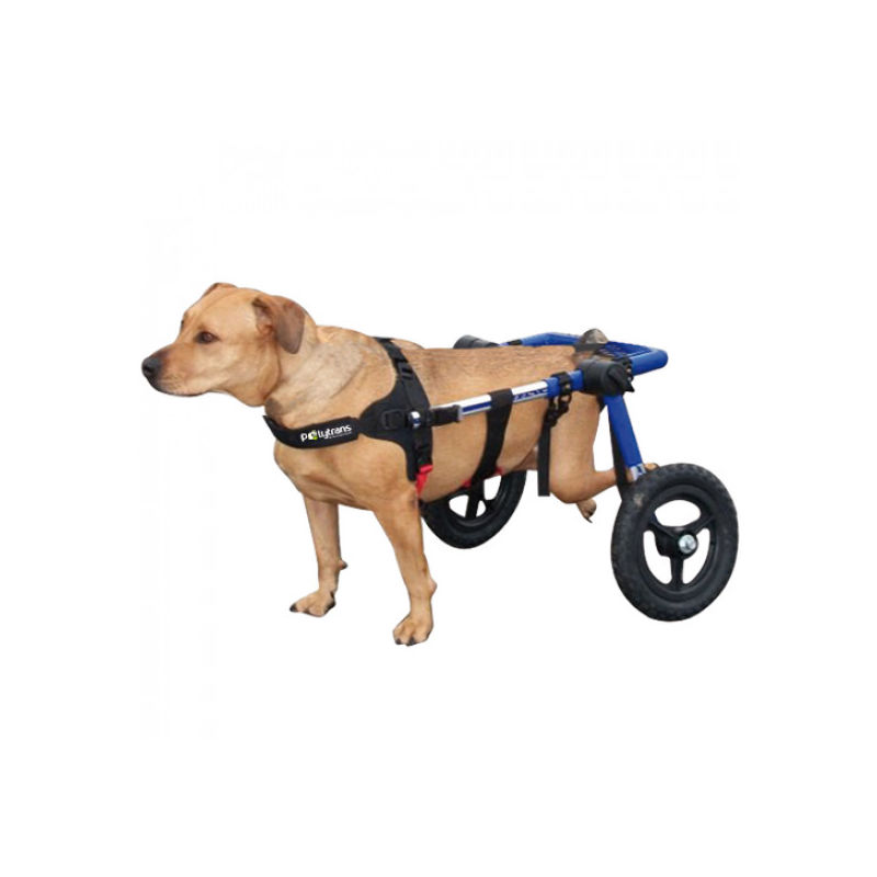 Chariot Canis-Cart Liberty T5 - WALKIN WHEELS - POLYTRANS