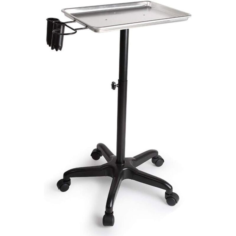 Senderpick - Chariot de service roulant pour salon de beauté Spa Tattoo Chariot en métal pour outils de coiffure Chariot mobile avec roues Support