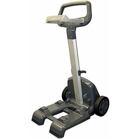 Chariot de transport robot Pro X2 Dolphin