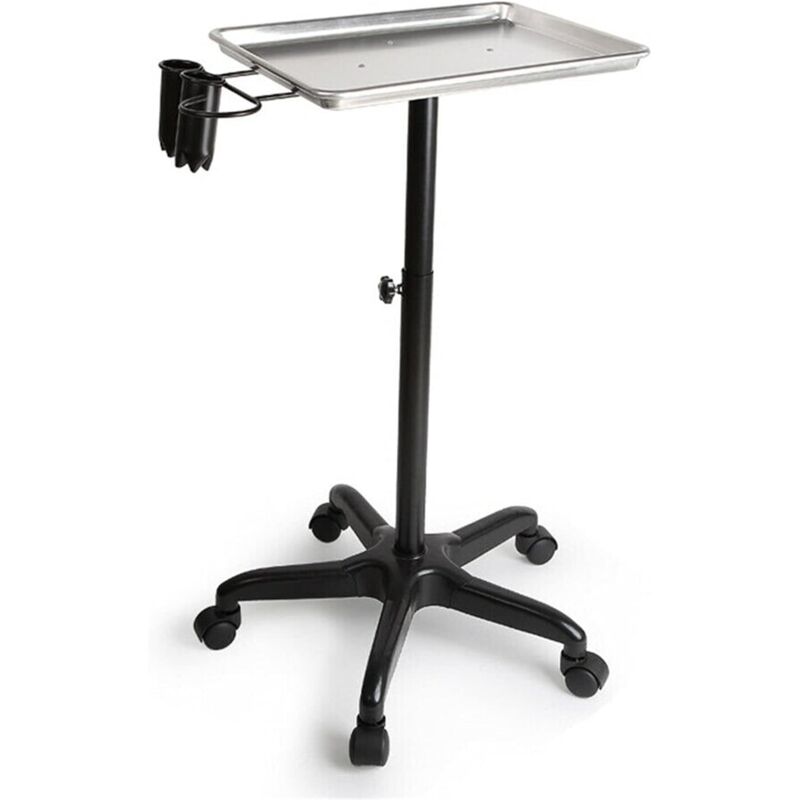 Chariot de Coiffure Hauteur Réglable 70 à 110 cm Trolley pour Salon Cheveux Beauté Spa Chariot à Roulettes (argent)