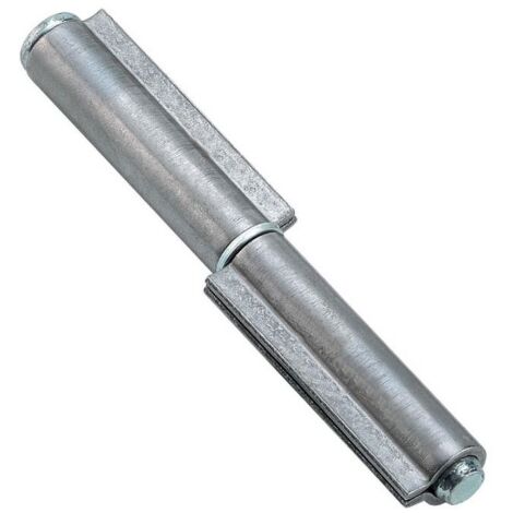 charniA re pour fer avec 2 cm 10 ailes axe amovible rondelles galvanisA es