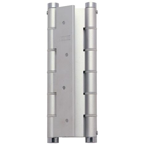 Charnière à ressort double action : Aluminium - TORBEL