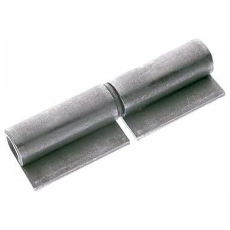 Charniere à Souder Gond Porte à Souder avec 2 Ailes 14 x 80 mm Pivot de Porte en Acier