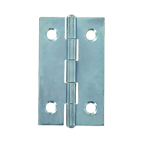 Charniere Acier 20x16mm 6 Pce - Vynex