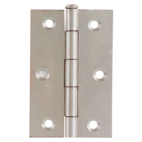 Charnie're Aldeghi Art.480 en fer poli 100 x 70 mm hauteur 4" avec goupille amovible