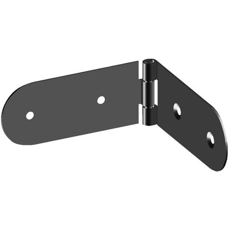 Charnière De Caisse 30x130 Mm