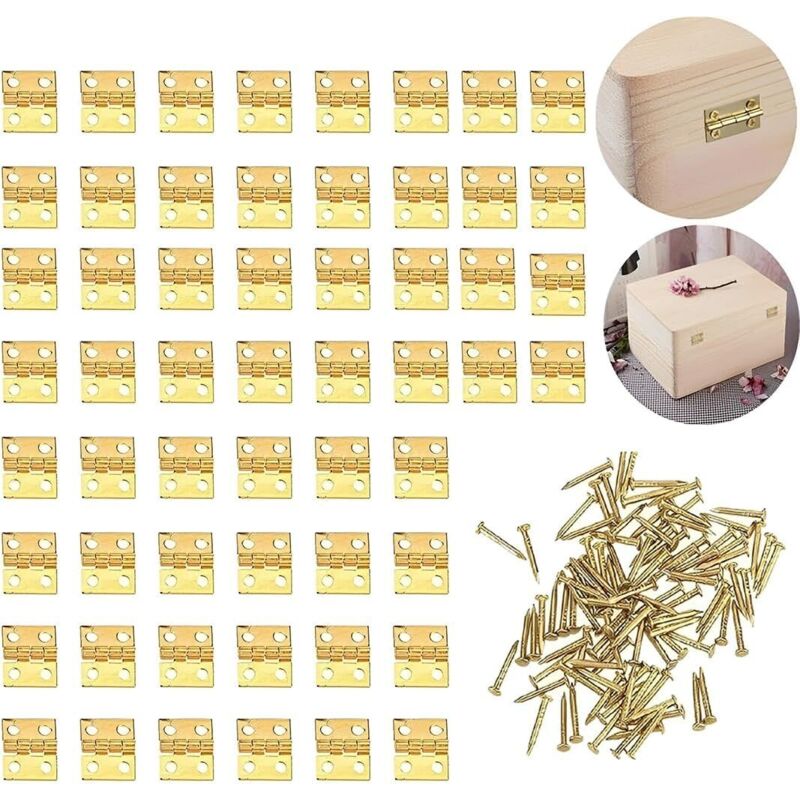Charnière de porte en acier inoxydable 50pcs, mini micro charnière, 200 pièces charnière de meuble vis avec boîte anti-corrosion charnière invisible