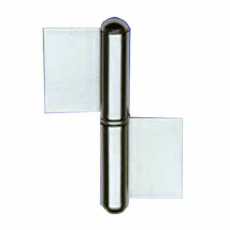 Charnière Ficcia 2 ailes en inox 62X 56,0 Dx 1222 Al