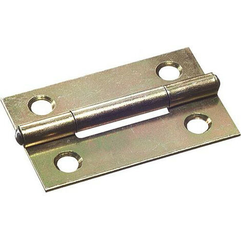 Charniere fine avec vis zingue L : 40mm Emballage 2 pieces