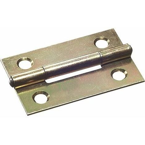 2 pièces Charnières 64 mm x 35 mm Avec Vis
