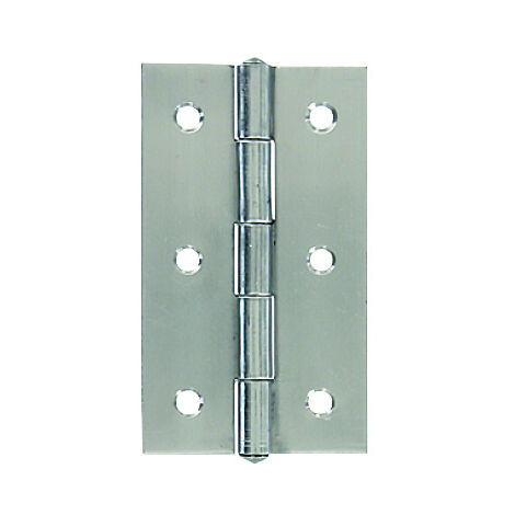 Charniere Inox 50x30 - 2 Pce - Vynex