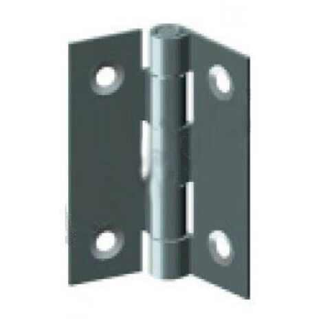 Charnière Inox Forte 75x50mm Résistance Et Durabilité Pour Usages Intensifs - Générique