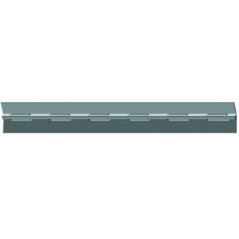 Charnière Piano Forte Inox 1980x40x3 Mm