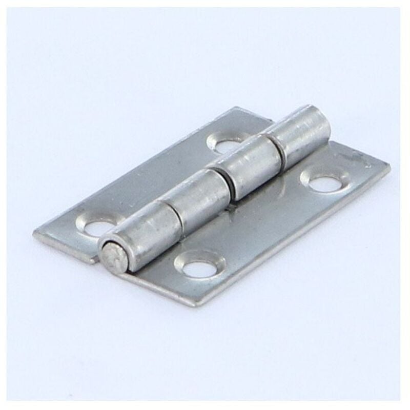 Vis Express - Charnière Rectangulaire 100X50 Inox-1 piece