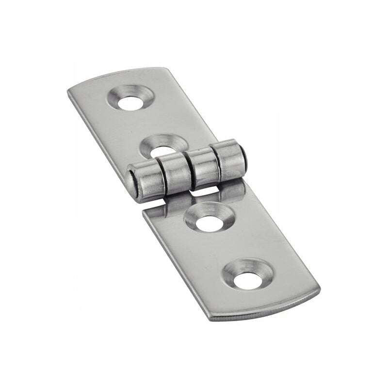 Charnière - Type g - Inox A2 L75 mm - Boîte de 5