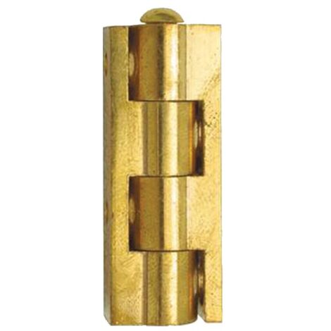 Charnière universelle en applique pour meuble hauteur 50mm diamètre nœud 10mm laiton poli - CUB050S10