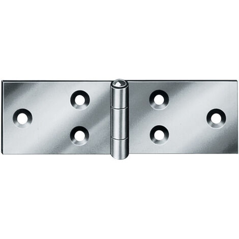 Charnières H.25mm B.offen60mm S.0,9mm Acier galvanisé bleu (Par 20)
