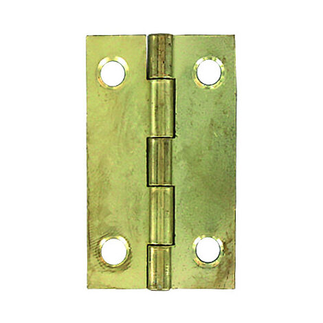 Charnieres Laitonnes 80x45  2 Pce - Vynex