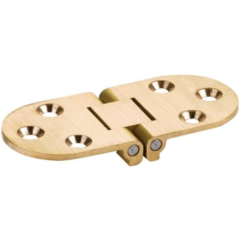 Charnières spéciales - ronde. laiton poli axe inox - 30 x 68 mm - A & G LENNE