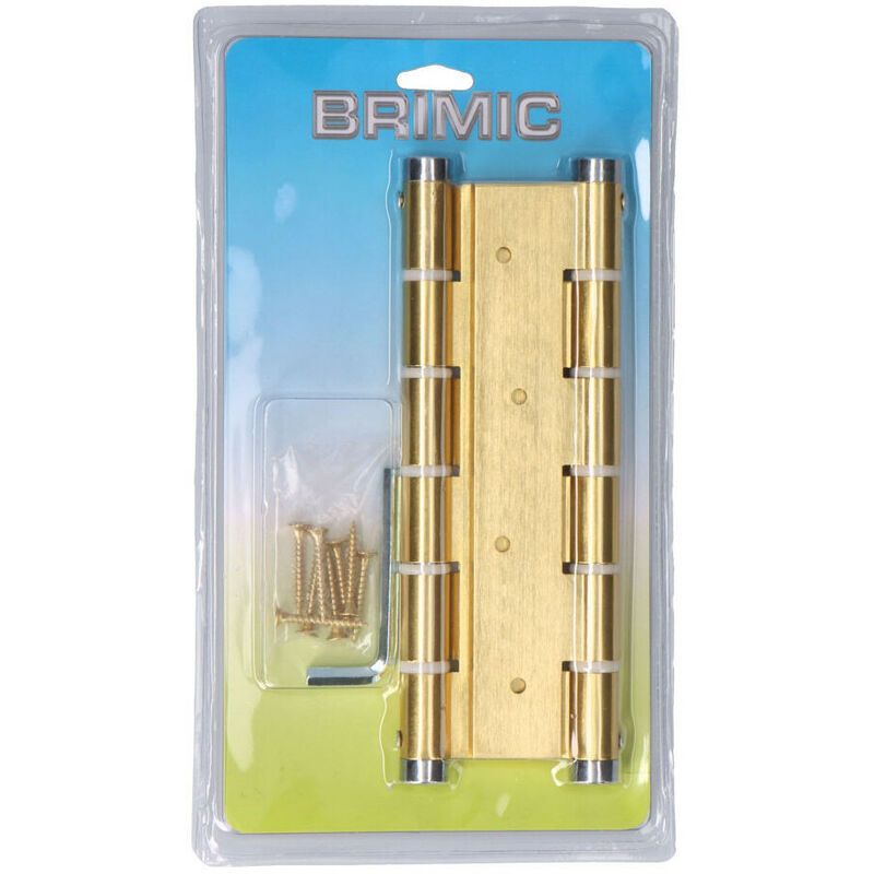 EHS - Charnière Double Action Blister Bs10 Ou M57003 Brimic