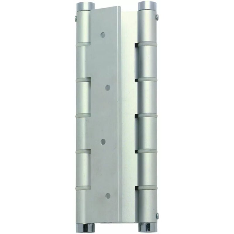 Faure Et Fils - Charnière va et vient anodisé argent - 180 mm