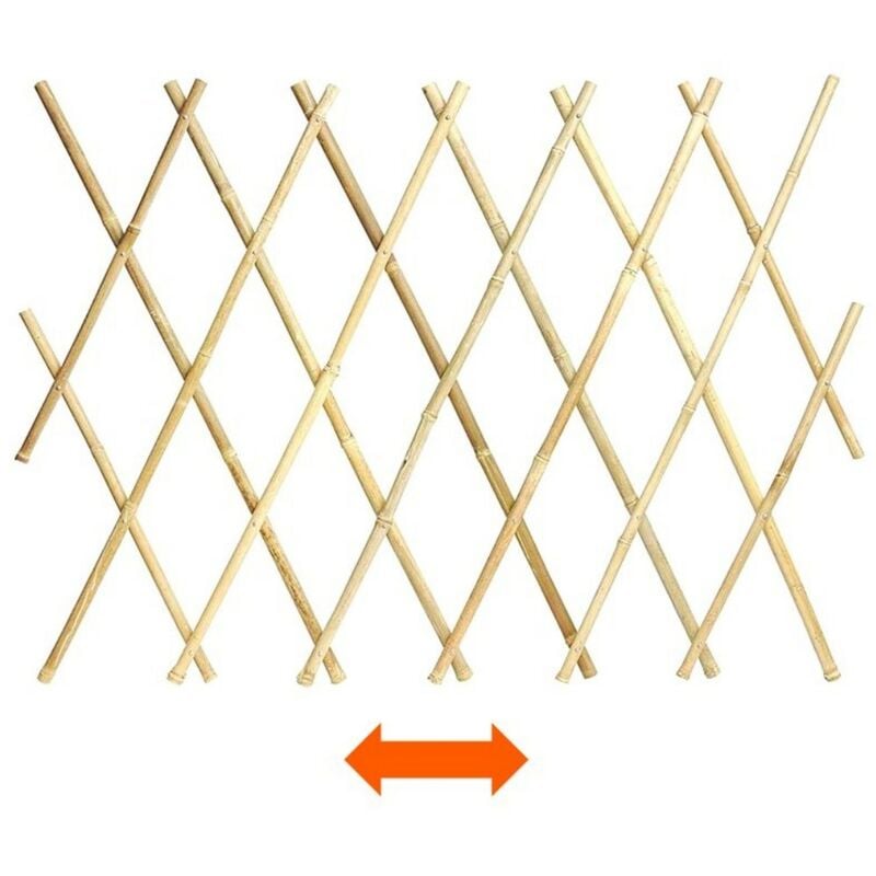 Charpente extensible bambou 90X180