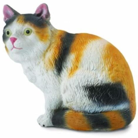 Chat domestique assis - tricolore