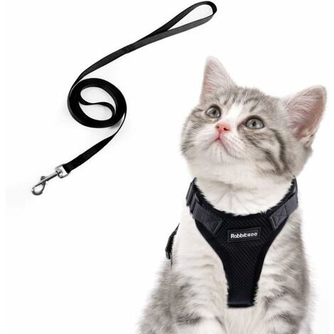 Harnais Xl Avec Laisse Pour Chats Harnais Xl Avec Laisse Pour Chats