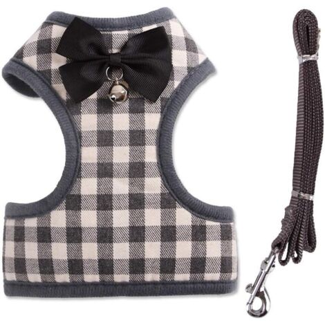 Chat Teddy Petit Chien Laisse Bichon Pomeranian Schnauzer Corset