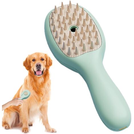 Chat Vapeur Brosse Anti Statique Rapide Peigne Pour L Enl
