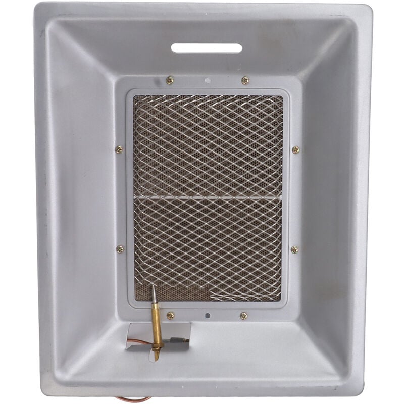 Eosnow - Chauffage à gaz pour poussins, chauffage manuel en céramique à infrarouge, équipement d'incubation catalytique pour poulailler, poulailler,