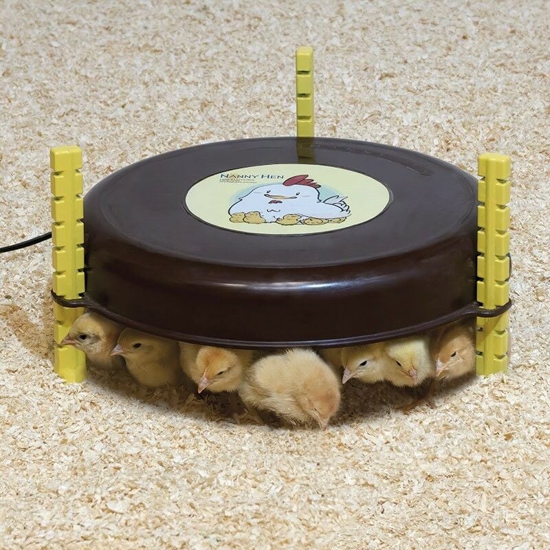 Chauffage pour poussins qui simule une poule artificielle pour réchauffer les poussins 18W, 220/240V, 35x20 cm